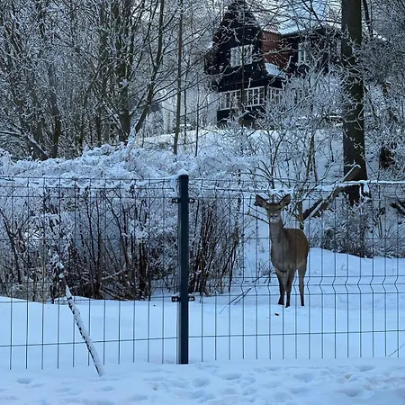 Lisi Rewir - Fox District House * Szklarska Poręba